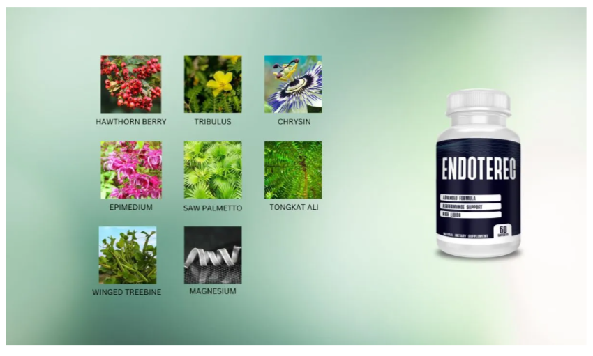 endoterec ingredients