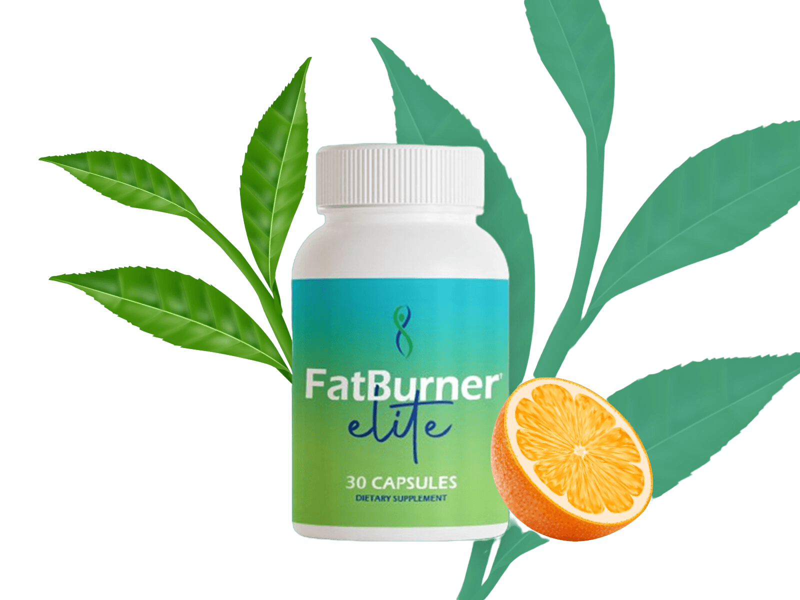 fatburner elite benefits
