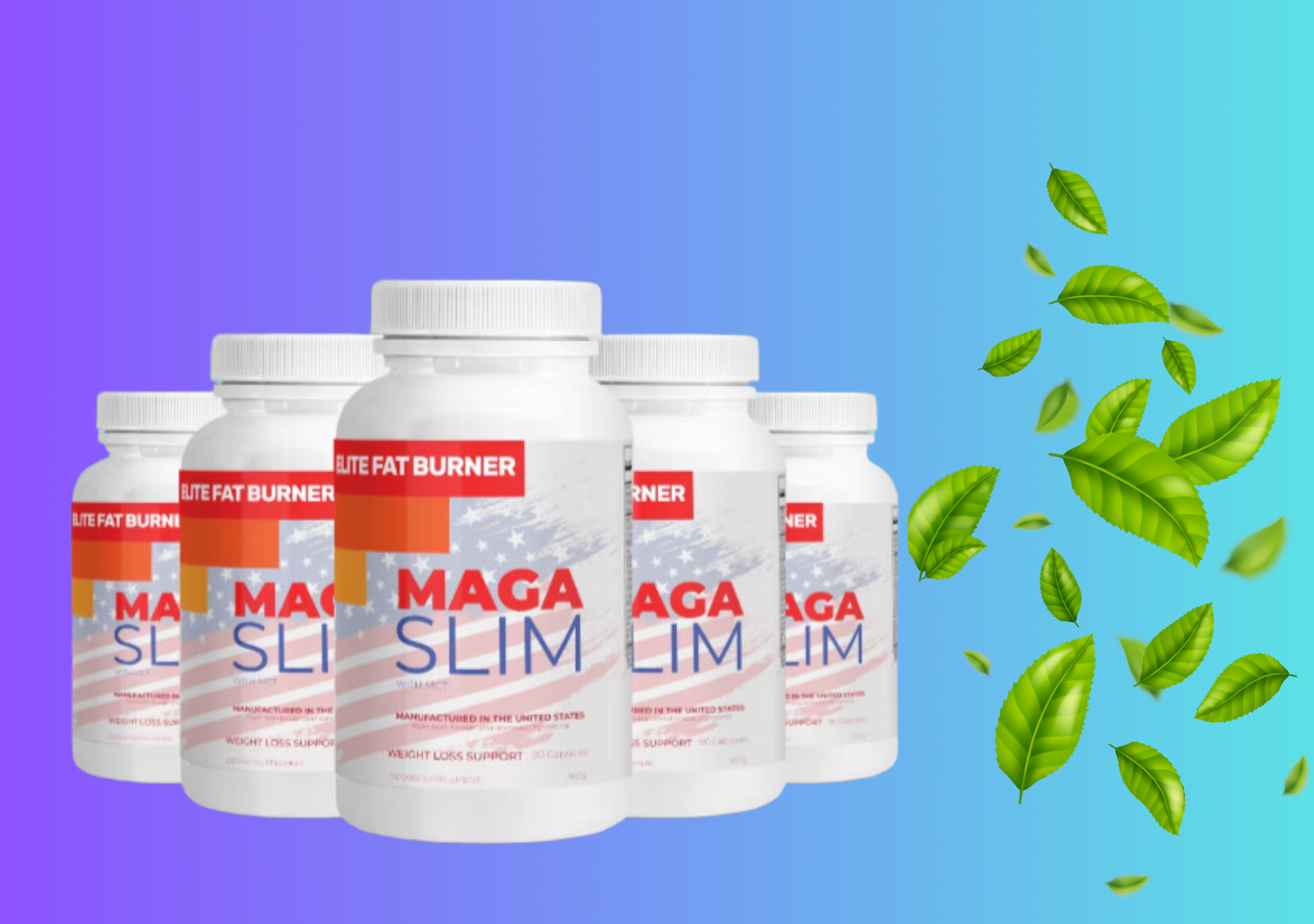 maga slim ingredients