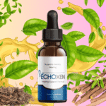 EchoXen