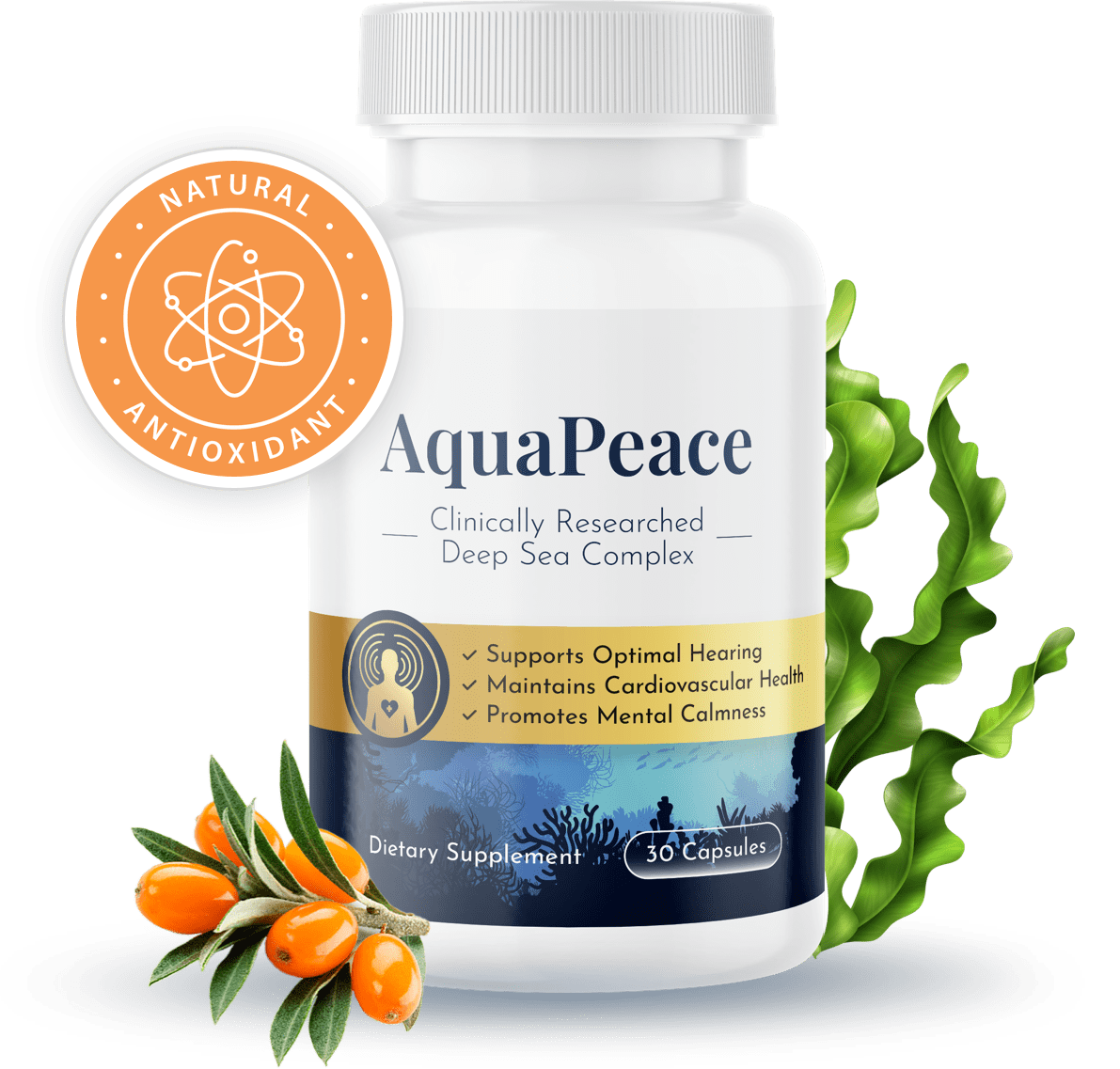 AquaPeace Review