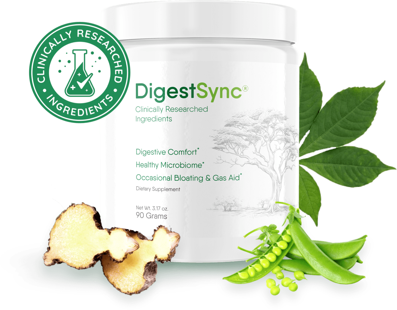 DigestSync Review
