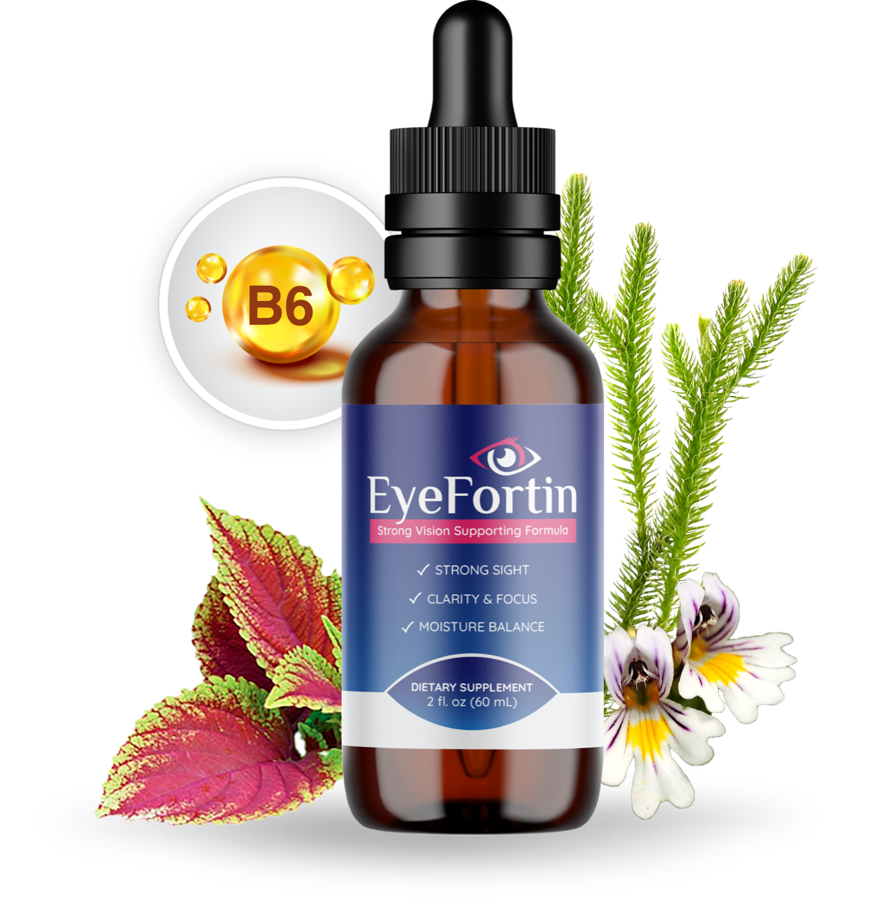 Eye Fortin Review