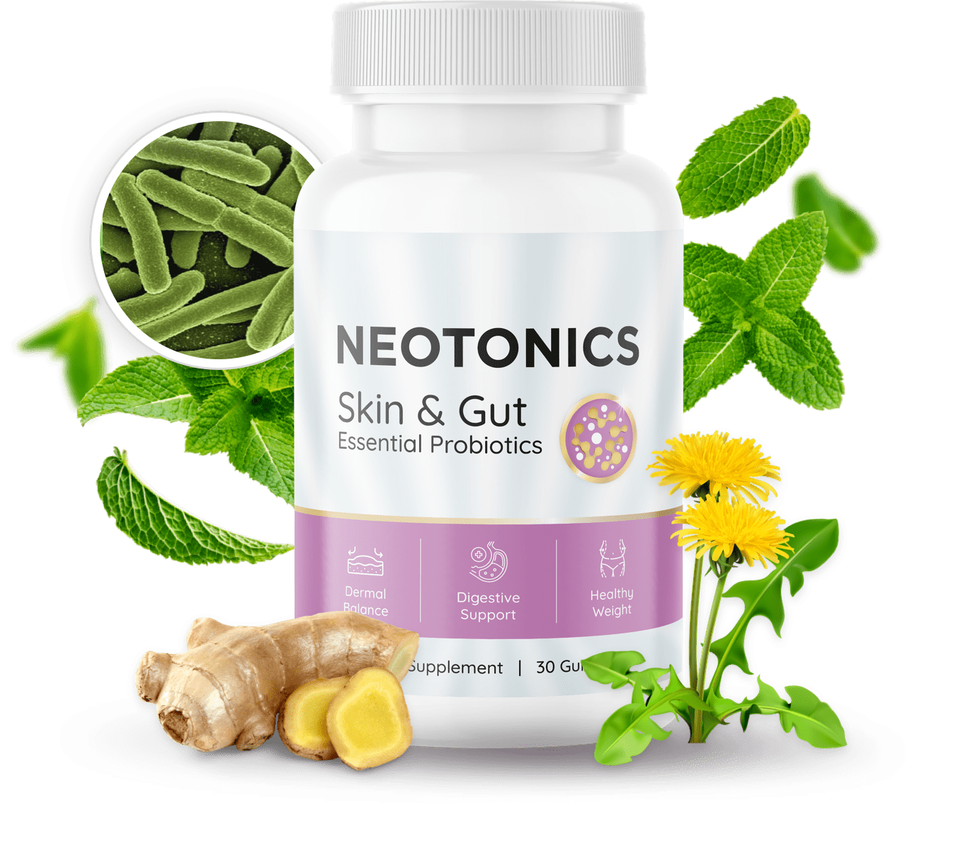 Neotonics Review