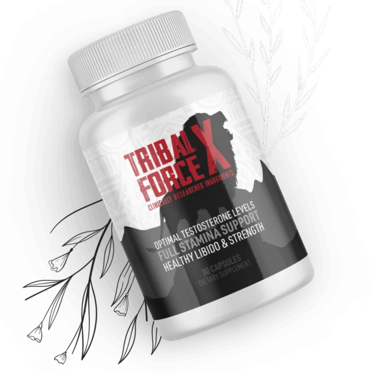 TribalForce X Review