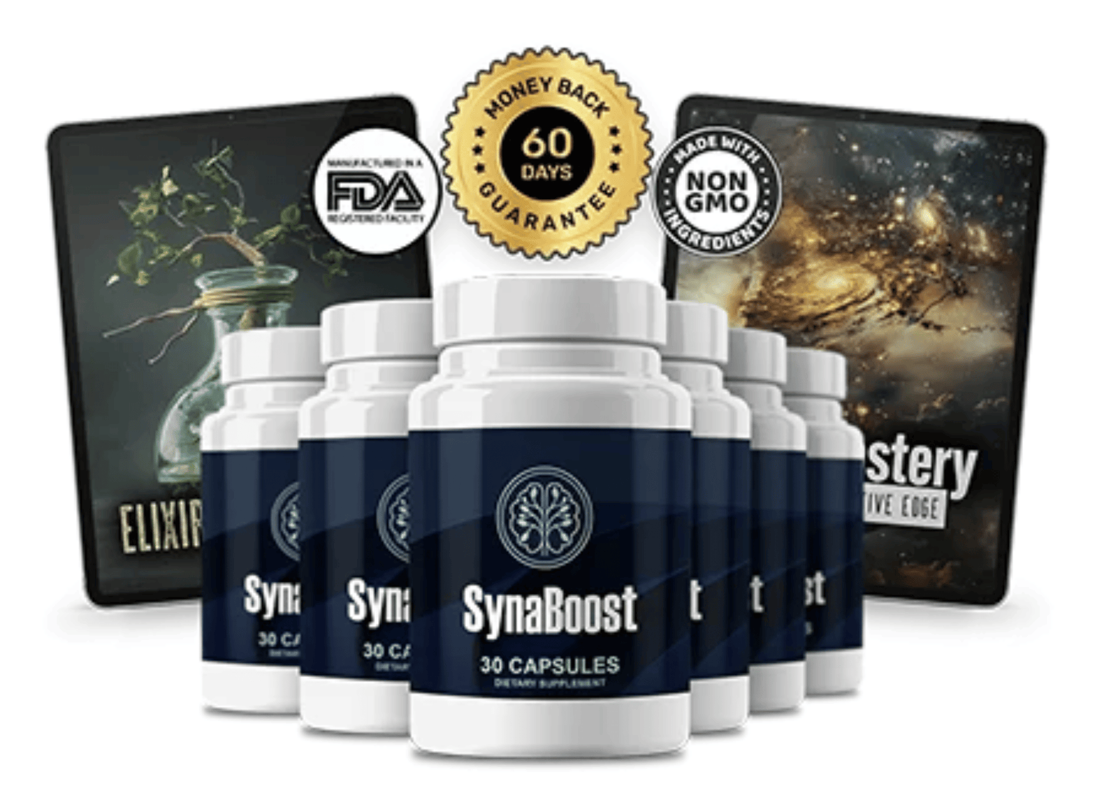 SynaBoost